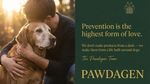 Pawdagen Dog Longevity Soft Chew