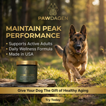 Pawdagen Dog Longevity Soft Chew
