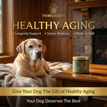 Pawdagen Dog Longevity Soft Chew